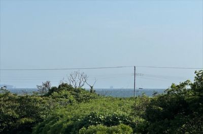 下洲海岸徒歩圏内、平坦地約200坪